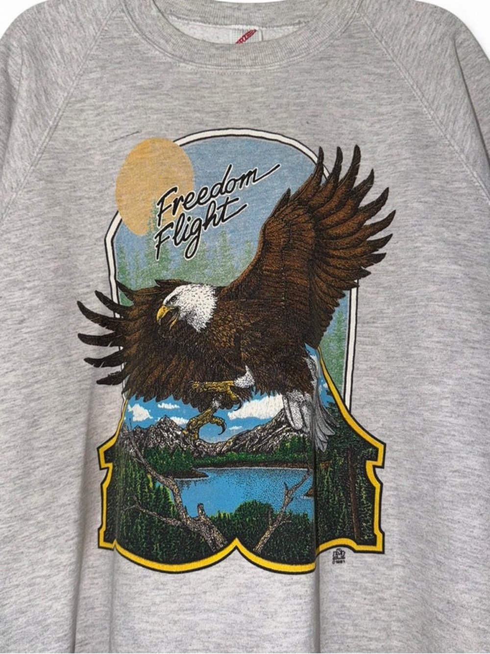 Vintage 90s “Freedom Flight” Bald Eagle nature sweatshirt